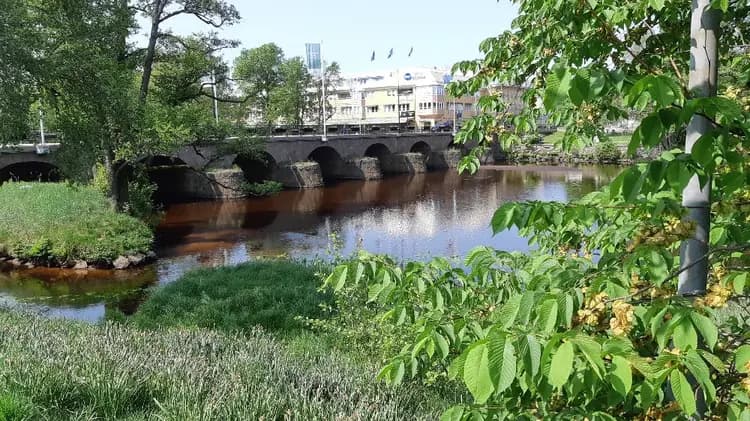 Upptäck Värnamo Camping – idylliska ställplatser vid sjön Vidöstern. Nära centrum, full service & aktiviteter för hela familjen. Boka din husbilsplats!