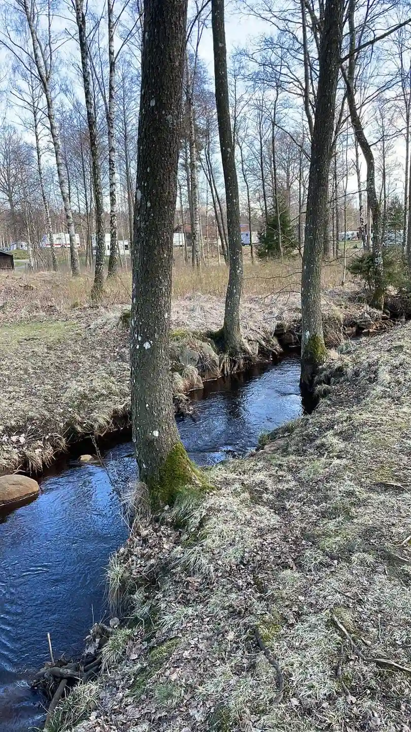 Hitta din perfekta ställplats på Våxtorps Naturcamping vid Hallandsås. Året runt öppet med el, servicehus, MTB, skidåkning, bastu & äventyr. Boka nu!