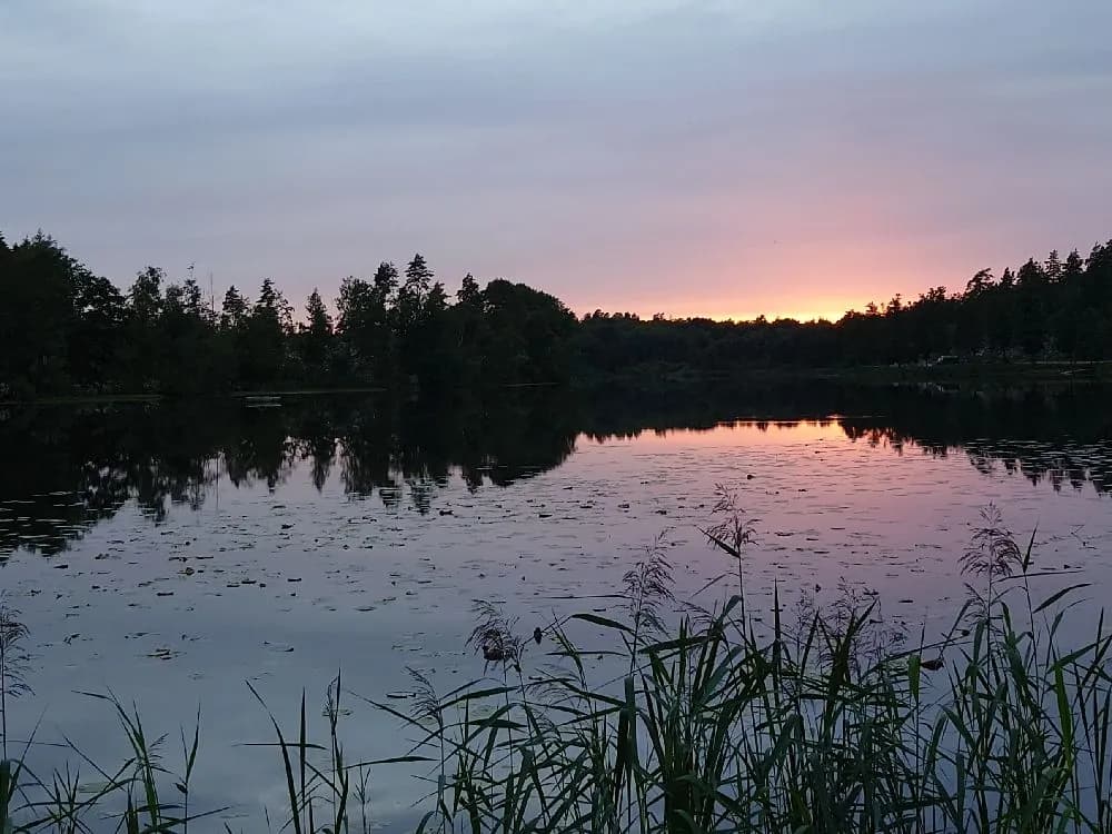 Upptäck Ljuvadal Camping & Ställplats i Olofström. Naturnära ställplatser vid sjö med fiske, vandring & service för husbil/husvagn. Boka din plats i Blekinge!