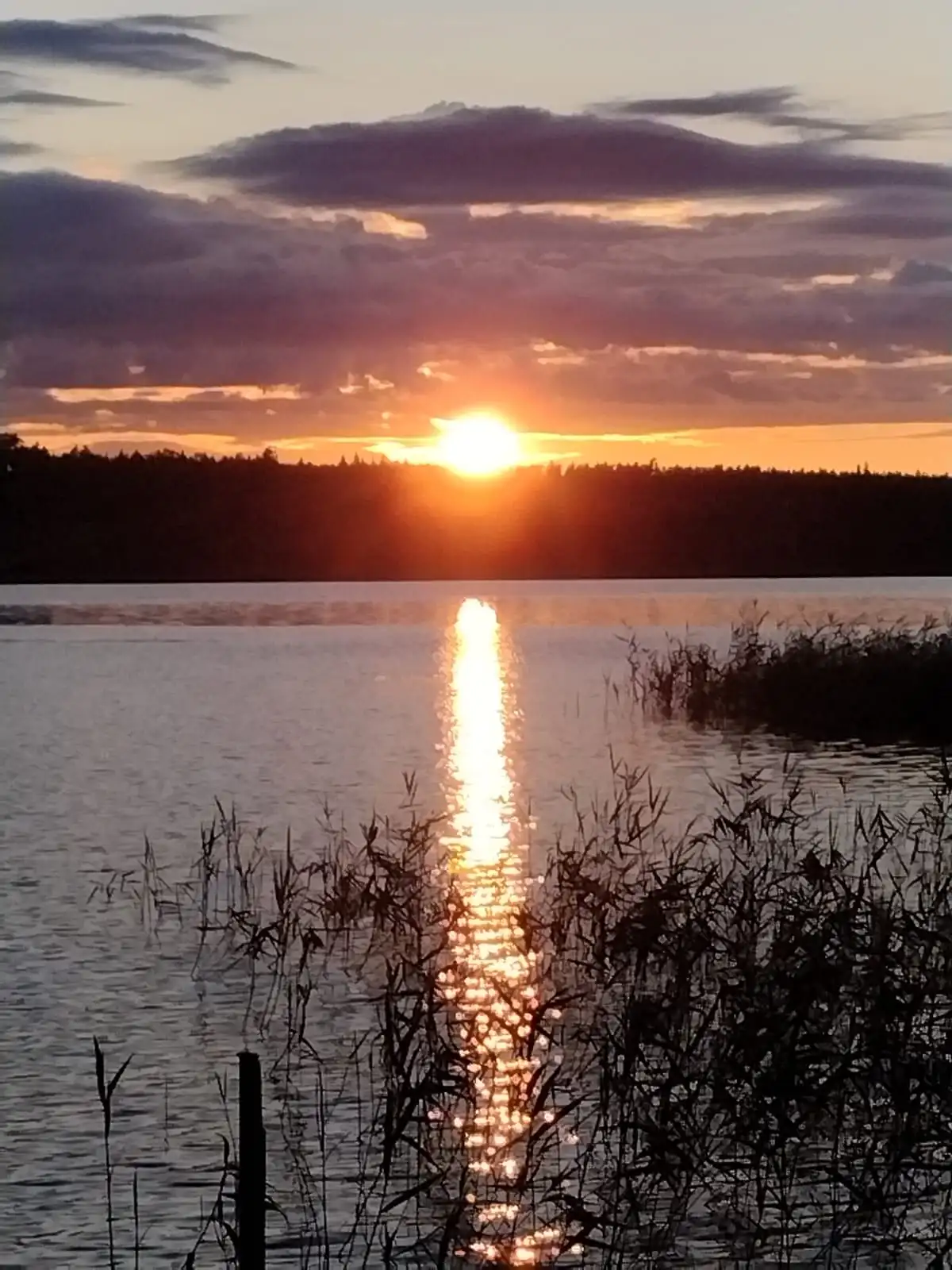 Upptäck Målsånna Camping Park – naturskön ställplats vid sjö i Småland. Perfekt för husbil/husvagn med bad, fiske, bastu & café. Boka din plats!