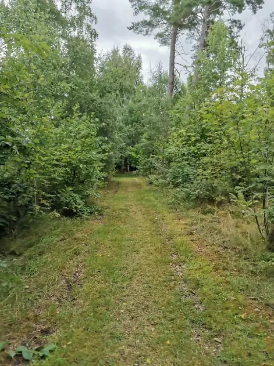 Upptäck Hjälmaresunds Camping – naturskön ställplats vid Hjälmaren. Full service för husbil/husvagn, bad, café & familjevänligt. Boka din plats idag!