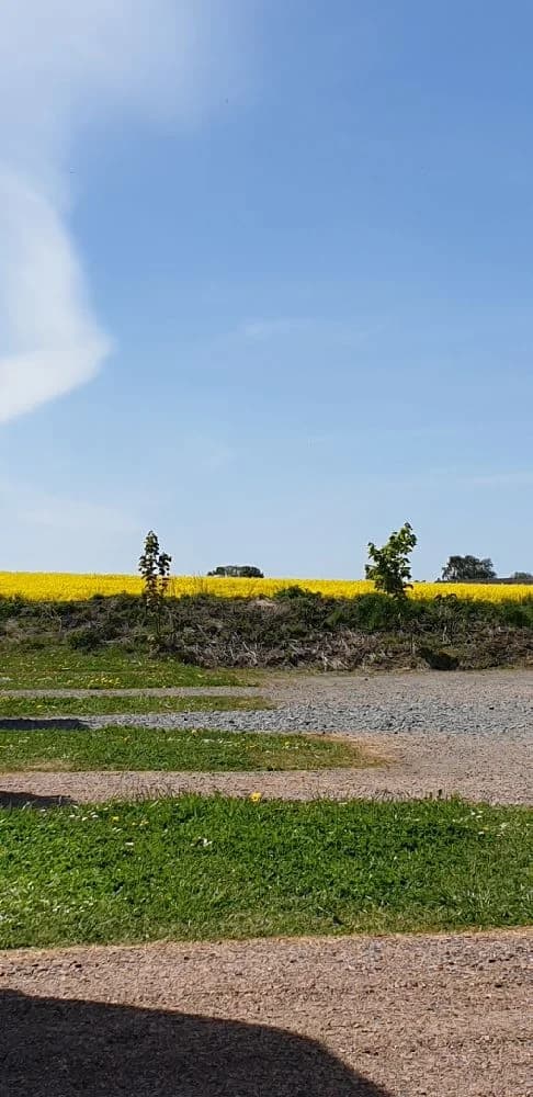 Unik ställplats vid Hotell & SPA Lögnäs Gård i Halland. Njut av spa, pool, restaurang, el, tömning & aktiviteter som zipline. Hundvänligt. Nära Båstad.