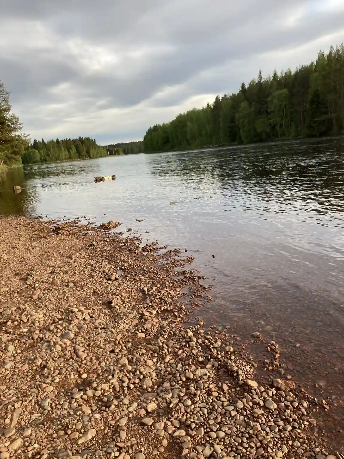 Naturnära ställplatser för husbil vid Älvdalens Camping i Dalarna. Utmärkt för fiske, vandring & familjeäventyr. Full service, öppet året runt.