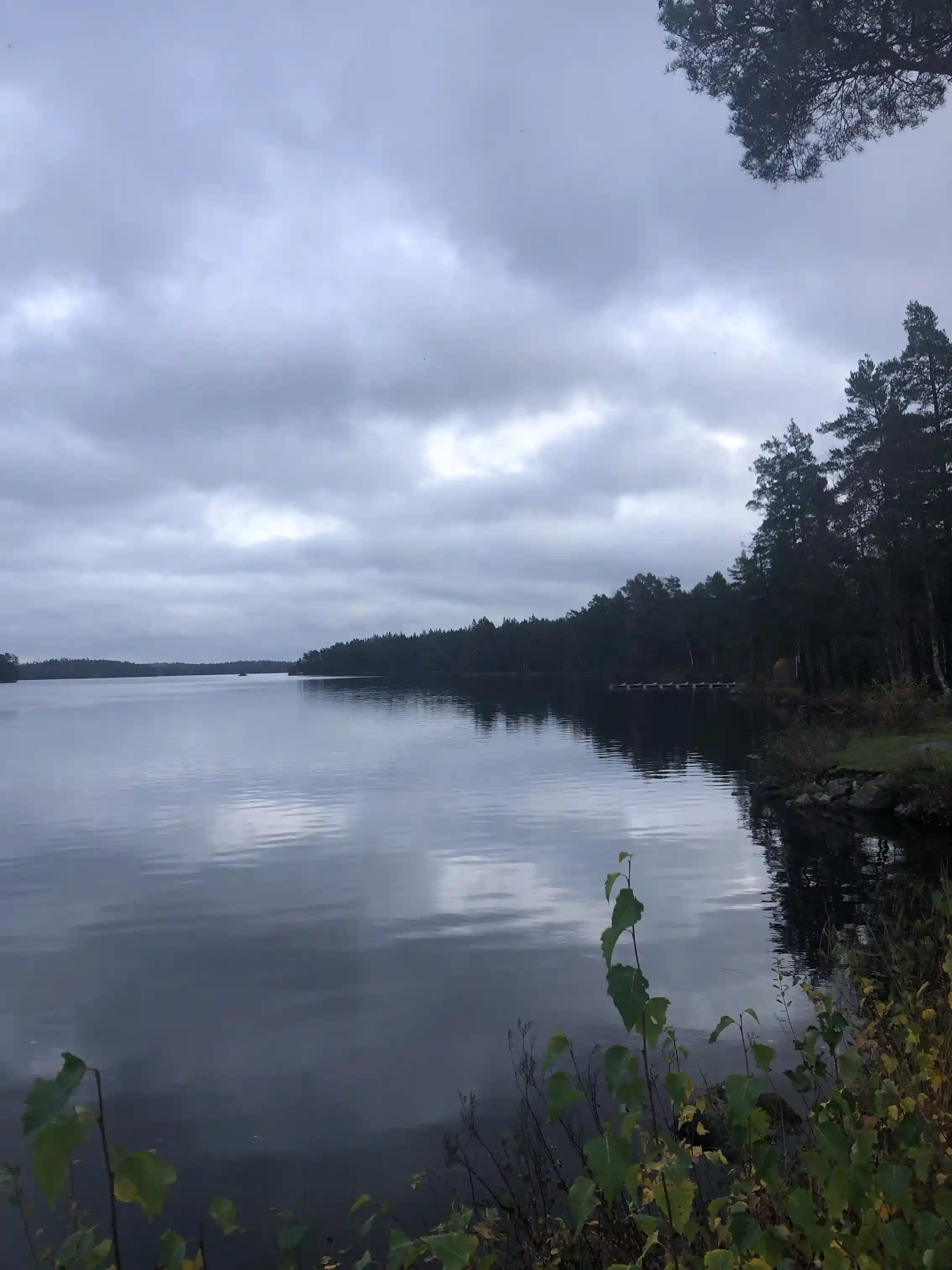Besök Uvaparken Ställplats i Fröseke! Vackert vid Uvasjön med full service: el, bastu, badtunna, kök, fiske & aktiviteter. Perfekt för husbil.
