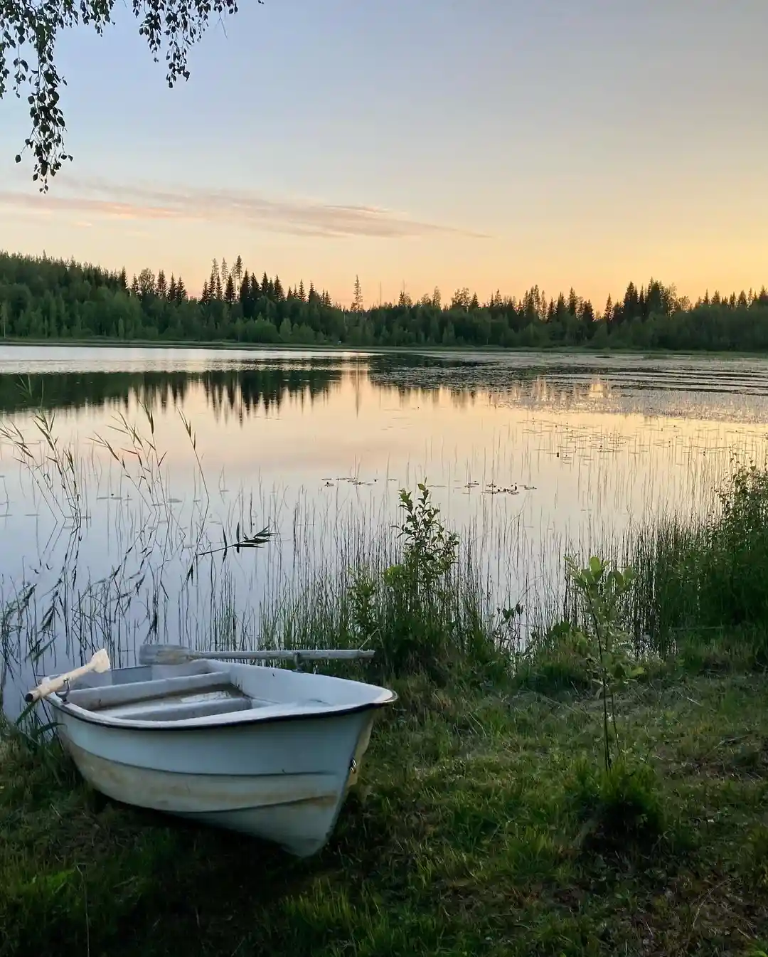 Upptäck Gammeltomtens Camping i Los! Naturnära ställplatser vid anrik hembygdsgård. El, dusch, WC, kök, museum. Perfekt för husbil/husvagn. Fiske & vandring.