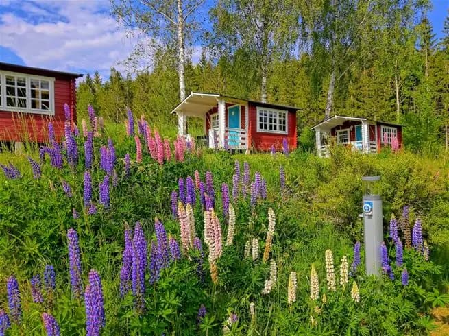 Upptäck Yxningens Camping! Fina ställplatser för husbil vid sjön Yxningen. Familjevänligt med bad, fiske, vandring, café & full service. Boka din plats!