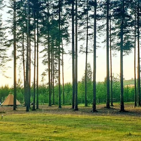 Upptäck Naturcamping Lagom i Gräsmark – idylliska ställplatser i Värmland vid sjö & skog. El, service, bad, fiske, vandring. Hundvänligt. Boka nu!