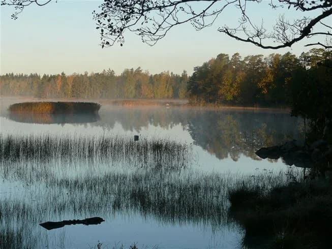 Upptäck Mjölknabbens Camping – naturnära ställplatser för husbil/husvagn vid Åsnen. Njut av sjöutsikt, fiske, bad, Amy's Kafé & Åsnens Nationalpark.