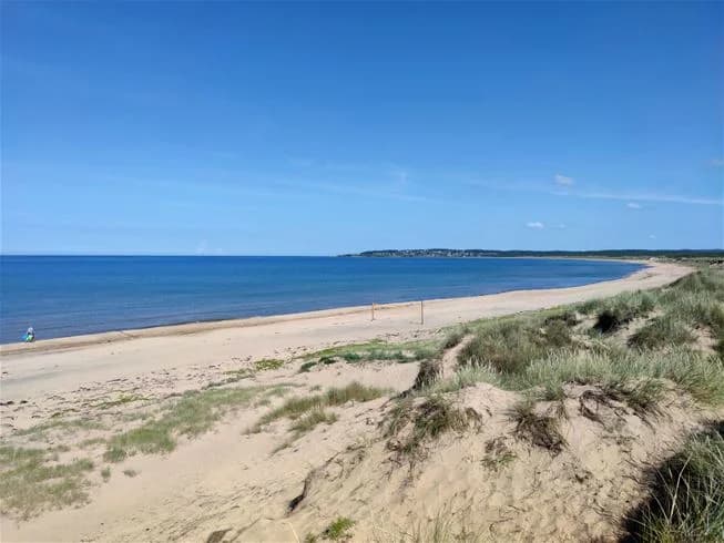 Hitta din perfekta ställplats på Vilshärads Camping nära Halmstad! Husbilsplatser vid sandstrand & naturreservat. Familjevänligt med pool & service.