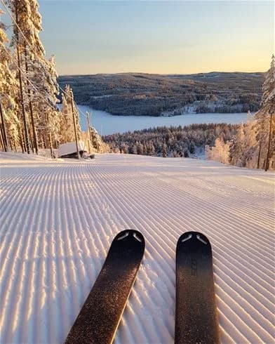 Hitta din perfekta ställplats i Bjursås! Året runt öppen camping för husbil/husvagn med el, service & aktiviteter som skidåkning, bad, cykling & padel.