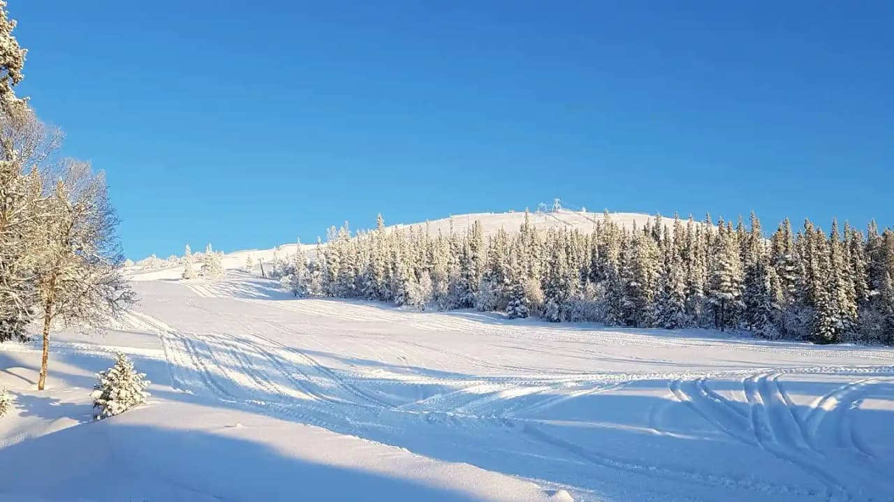 Bo på Idre Fjäll Camping – året runt-öppen ställplats i Dalarna. Nära till skidåkning, cykling, vandring & aktiviteter. Full service för husbil/husvagn.