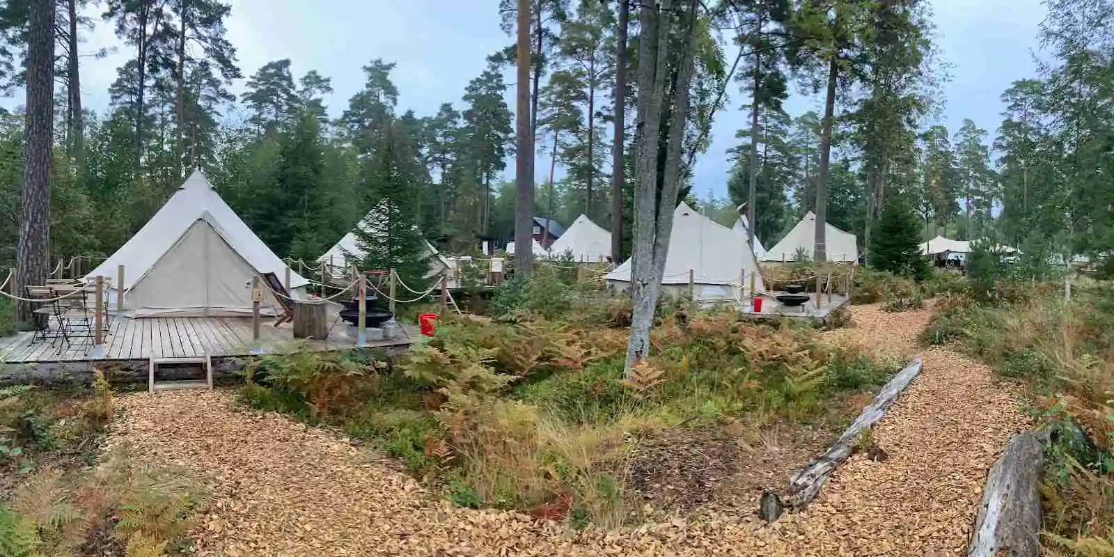Hitta din perfekta ställplats vid sjön Åsnen på Norraryds Camping! El, service, paddling, fiske, vandring & nära Åsnen Nationalpark. Boka ditt Smålandsäventyr!
