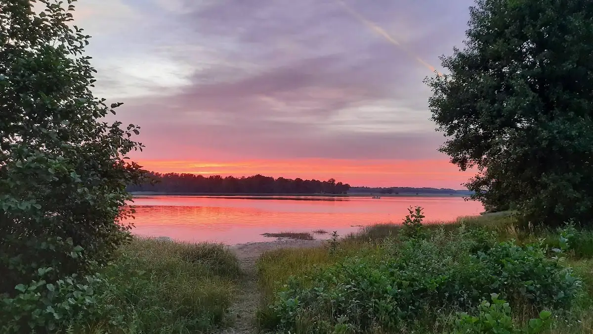 Upptäck E4:ans Camping i Toftaholm! Perfekt ställplats vid Vidöstern i Småland med el, servicehus, fiske, bad & nära E4. Boka din husbilsplats!