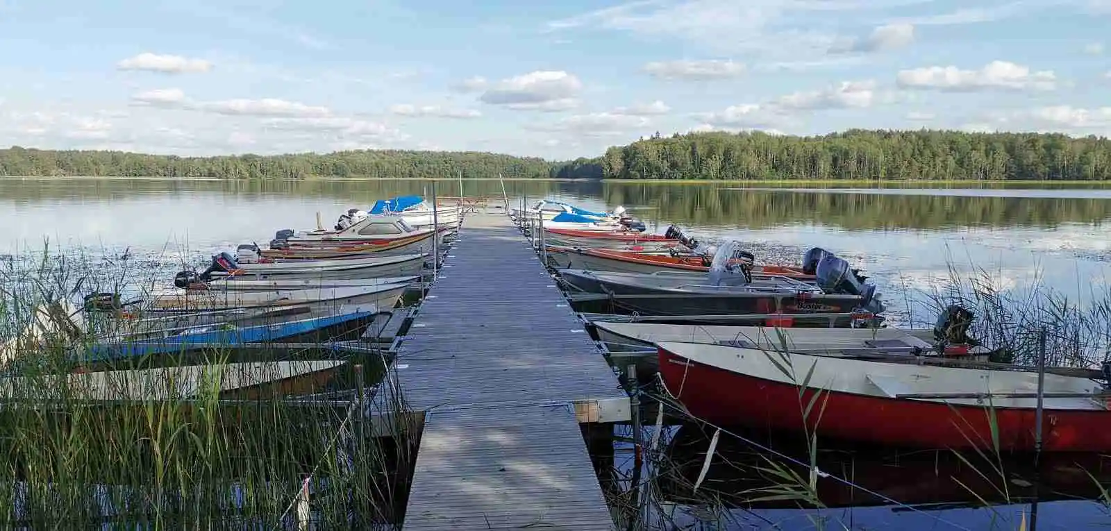 Upptäck Österby Camping – naturnära ställplats vid Näshultasjön nära Eskilstuna. Bad, fiske, vandring, restaurang & service för husbil/husvagn.
