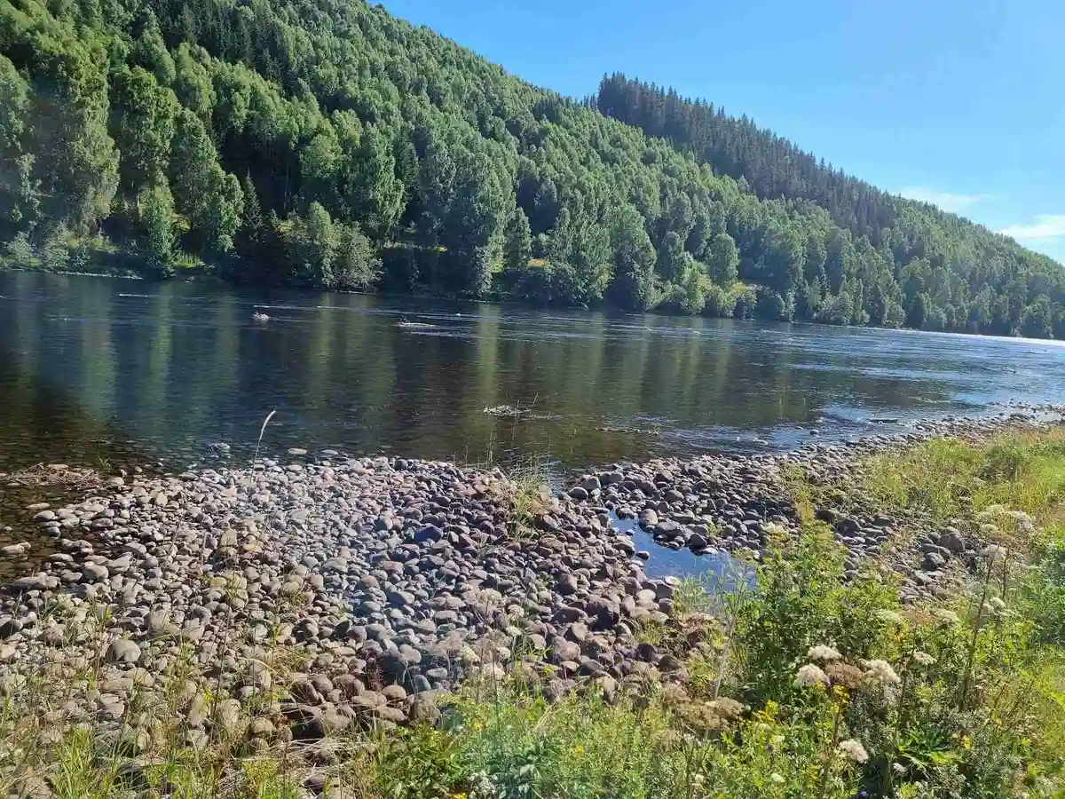 Upptäck Bråtens Camping i Sysslebäck – naturnära ställplats vid Klarälven. Perfekt för husbil/husvagn. Fiske, lugn & ro, el, service. Boka din plats!