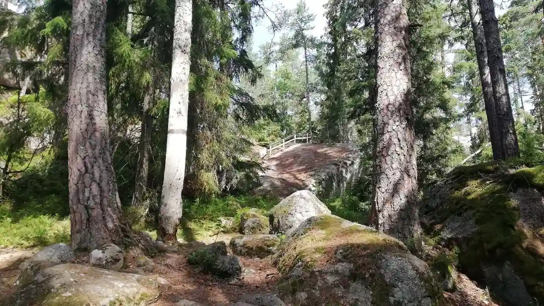 Natursköna ställplatser med el vid Stigmansgården i Tiveden, nära Bocksjön & Nationalparken. Servicehus, bad, fiske, vandring, cykling. Hundvänligt!