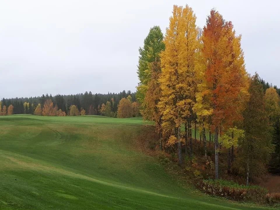 Bjurholms Nya GK - Bild 3