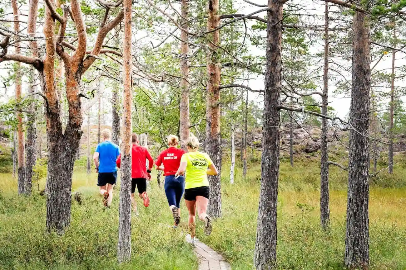 Moraparken - Cottages, Camping & Glamping - Bild 1