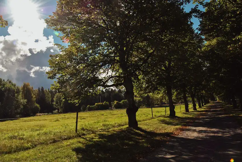 Upptäck Åkerby Herrgård – naturskön ställplats vid sjö nära Nora. Njut av herrgårdens faciliteter, restaurang, bastu, fiske & vandring. Perfekt för husbil.