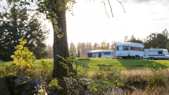 Upptäck Bjorsbo Forest & Lake Hideaways – naturnära ställplatser i Småland för husbil/husvagn. Nära Store Mosse Nationalpark. Boka ditt lugna äventyr!