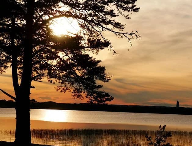 Upptäck Burträsk Camping! Naturnära ställplatser för husbil/husvagn vid sjö. El, servicehus, fiske (gös!), båt, bastu, cykel. Boka din plats i Västerbotten!