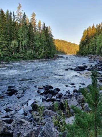 Upptäck Färsåns Fritid och Fiskecamp! Ställplatser för husbil/husvagn vid Ammerån, Jämtland. Inkl. el, dusch, toa. Fantastiskt fiske & lugn och ro.