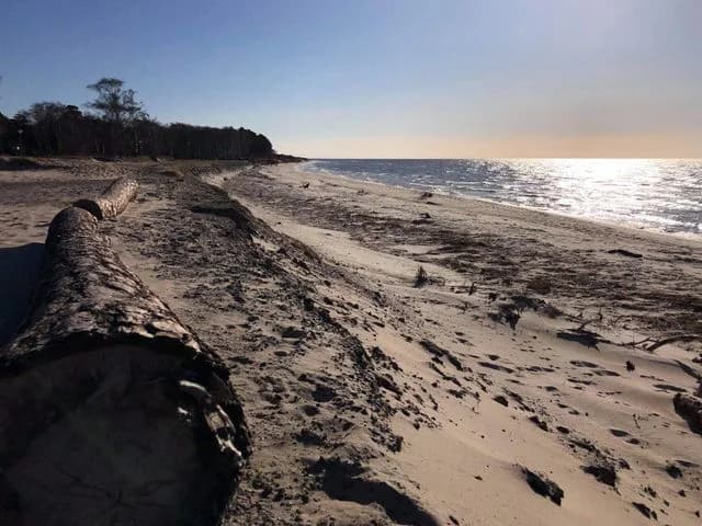 Upptäck Löderups Strandbads Camping – idylliska ställplatser för husbil/husvagn vid Österlens kust. Nära strand, skog & vandringsleder. Fullservice.