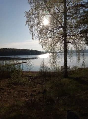 Upptäck Moheds Camping vid Florsjön! Natursköna ställplatser för husbil/husvagn, pool, restaurang, bastu & aktiviteter. Boka din plats i Hälsingland!