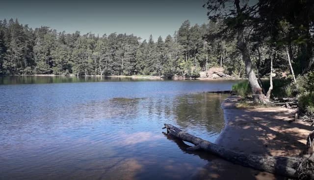 Upptäck Mullsjö Camping! Ställplatser för husbil vid sjön Stråken med el, servicehus, fiske, bad, golf & vandring. Boka din naturnära upplevelse idag!
