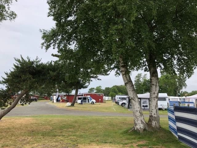 Upptäck Nybrostrands Camping! Idealiska ställplatser för husbil/husvagn vid Österlens strand. Nära Ystad GK, dusch, el & Wi-Fi. Boka din plats vid havet!