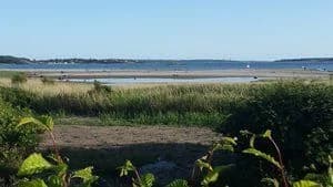Upptäck Rågelunds Camping i Frillesås – din säsongsplats vid havet! Charmig camping nära strand & badbrygga. Perfekt för husbil/husvagn. Endast säsong.