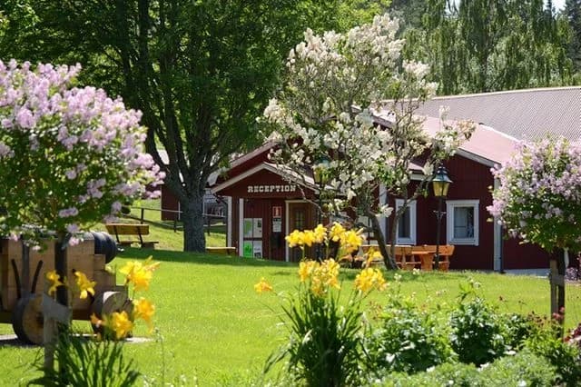 Upptäck Stenkällegårdens Camping – naturnära ställplatser för husbil/husvagn vid Tivedens Nationalpark. Fullservice, aktiviteter, restaurang & Tiveden-äventyr.