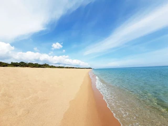 Tobisviks Camping: Ställplatser vid havet i Simrishamn, Österlen. Njut av strand, pool, aktiviteter & Simrishamns charm. Perfekt för husbil/husvagn!