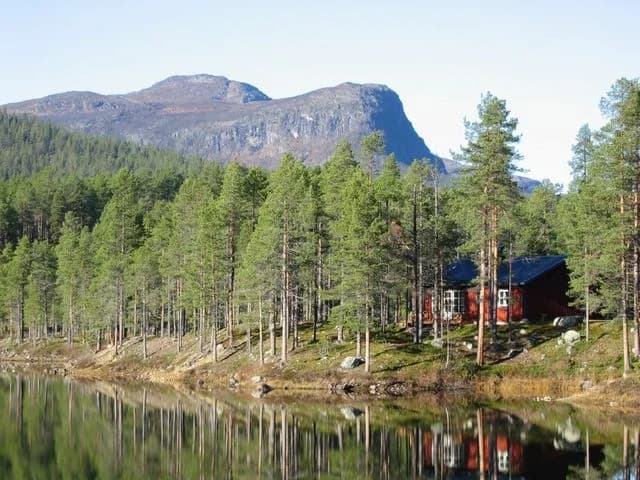 Upptäck Årrenjarka Fjällby, en unik ställplats för husbil/husvagn i Laponia. Njut av fjäll, fiske, vandring, restaurang & service nära Kvikkjokk & Sarek.