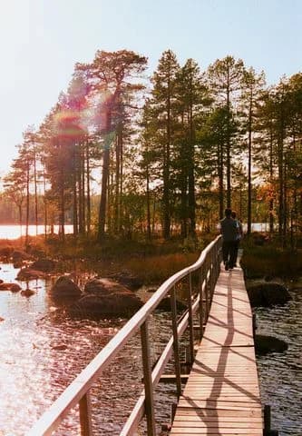 Upptäck Vildmarkscamp Stora Stenträsket – unik ställplats i Norrbotten. Off-grid, fiske (röding/öring), bastu, båt & natur. Perfekt för husbil/husvagn.